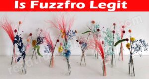 Is Fuzzfro Legit (June 2021) Let's Read Reviews Here!