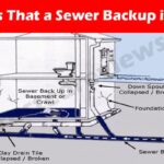 Complete Guide About The Best Top Signs That a Sewer Backup is Coming