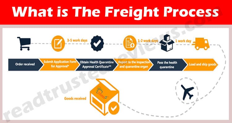 All About Information Freight Process