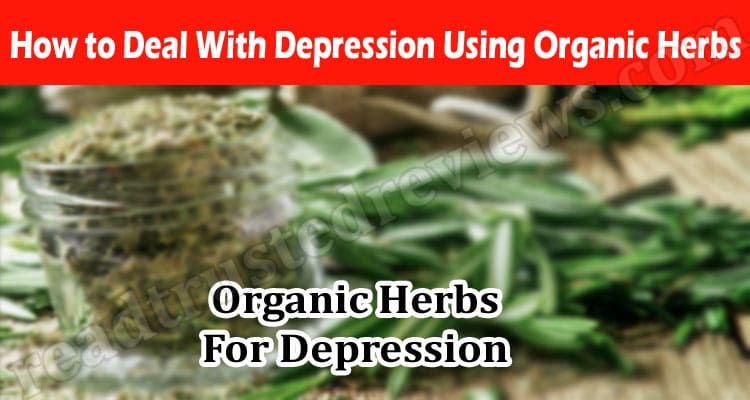 Complete Guide to Depression Using Organic Herbs