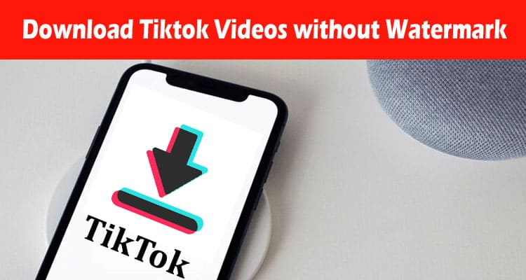 How to Download Tiktok Videos without Watermark