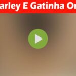 Latest News MC Marley E Gatinha Original